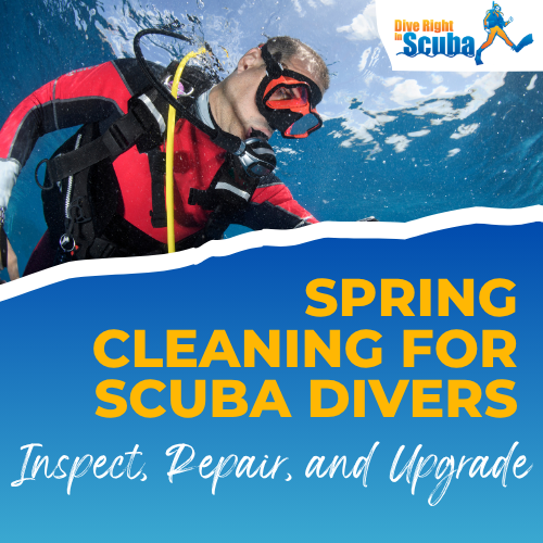 Spring Cleaning for Scuba Divers: Inspect, Repair, and Upgrade